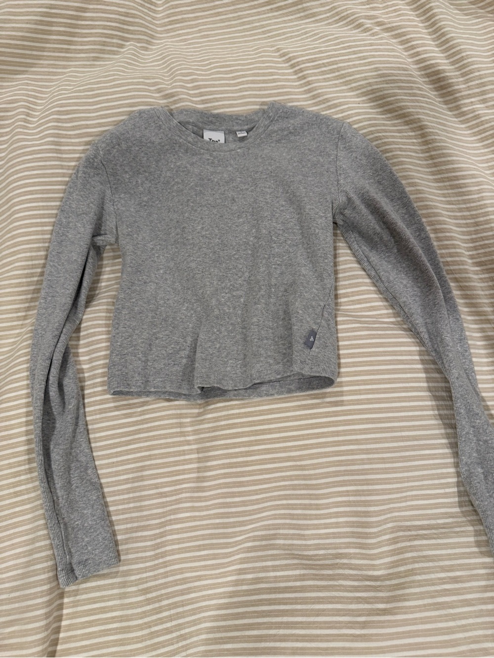 Gray Long-Sleeve Crop Top